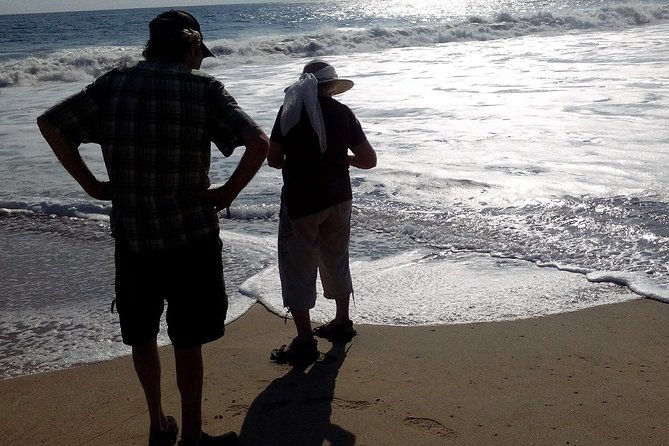Jungle Coyuca Lagoon Boat Ride Experience & Baby Turtle Release - Barra de Coyuca: A Village Break With Real Flavor