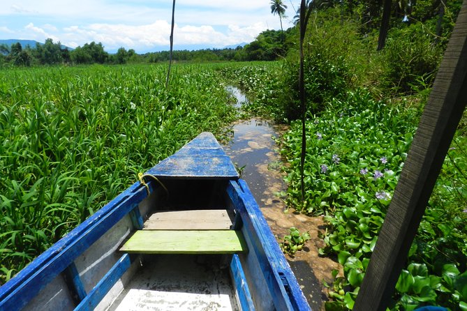 Jungle Coyuca Lagoon Boat Ride Experience & Baby Turtle Release - Getting There Smoothly: Van Pickup and a Real 10:00 am Start