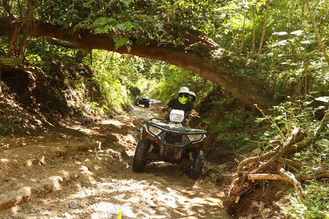 Jungle double ATV Tour "El Mirador" (ride tandem on ATV) - What the 2-hour itinerary really feels like on the ground