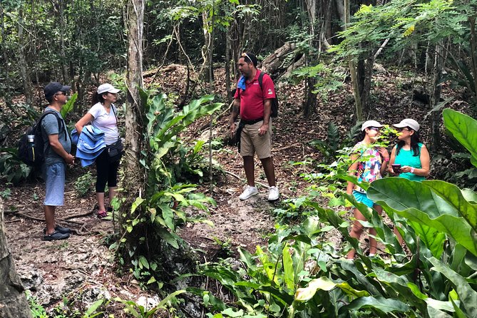 Jungle Jeep Adventure to Mayan Caves, Cenote and Snorkel - The Jeep Ride Factor: Off-road roads, AC comfort, and real island travel