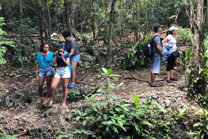 Jungle Jeep Adventure to Mayan Caves, Cenote and Snorkel - Dzul Ha Reef snorkeling and the beach club time reality check