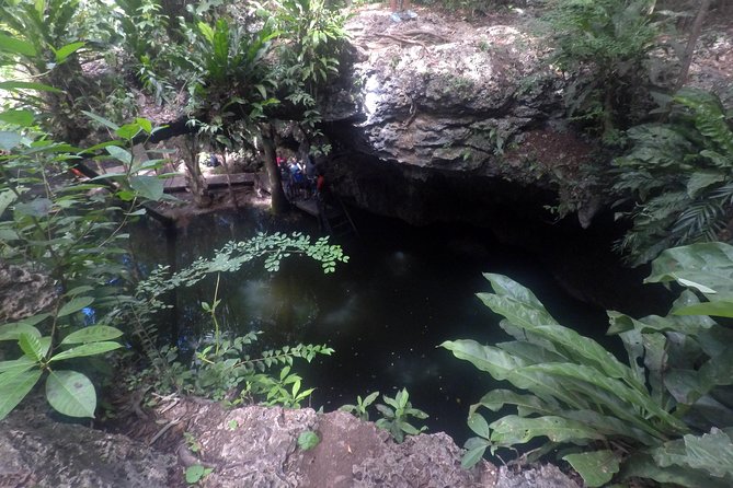 Jungle Jeep Adventure to Mayan Caves, Cenote and Snorkel - Price and what you truly pay for during the 5-hour loop