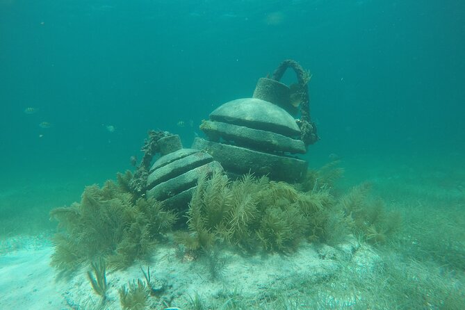 Jungle Tour & Snorkel at Punta Nizuc Reef , Underwater museum - Jungle Tour Barracuda: what “2 hours” feels like in Cancun