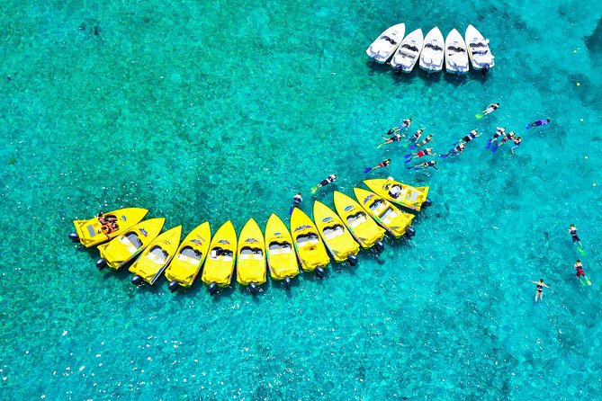Jungle Tour with Snorkel in Cancun - Price and Value: $49.50 Plus the Costs You Should Expect