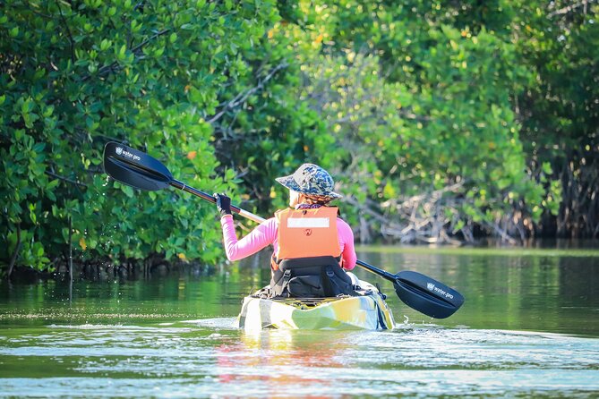 Kayak Adventure in Cancun - Entering the Mangrove Forest: Birds, Channels, and What You Might See