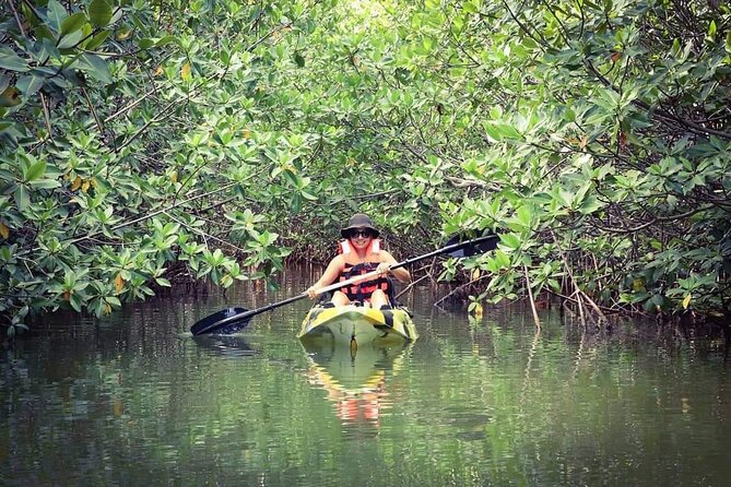 Kayak Adventure in Cancun - Timing and Early Starts: The Sunrise Factor