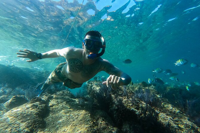 Kayak Expedition to the Arch of Cabo San Lucas, Lovers Beach & Snorkel - Price and value: is $90 a good deal here?