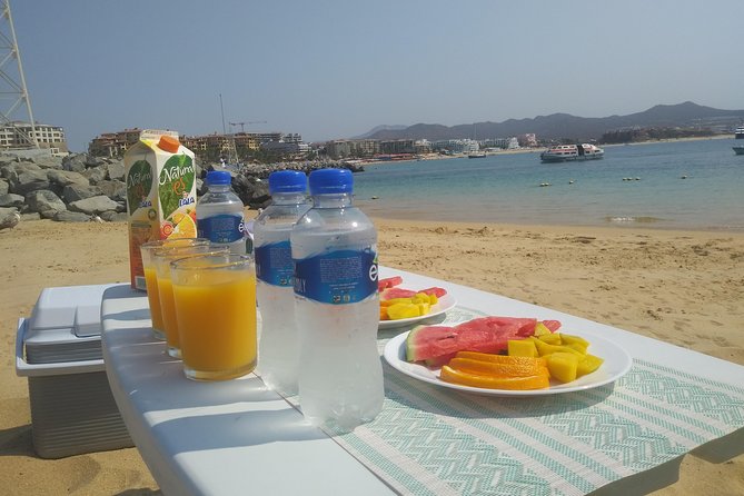 Kayak or Paddle Board & Snorkel to the Arch with Photos included - Paddling Past Wildlife on the Way to Land’s End