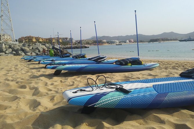 Kayak or Paddle Board & Snorkel to the Arch with Photos included - Pelican Rock Snorkeling: Reef Life and the Swim Transition
