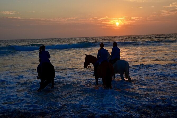 La Bufadora, Markets & Horseback Beach Ride Shore Excursion - Price and value: what $71 buys you in practice