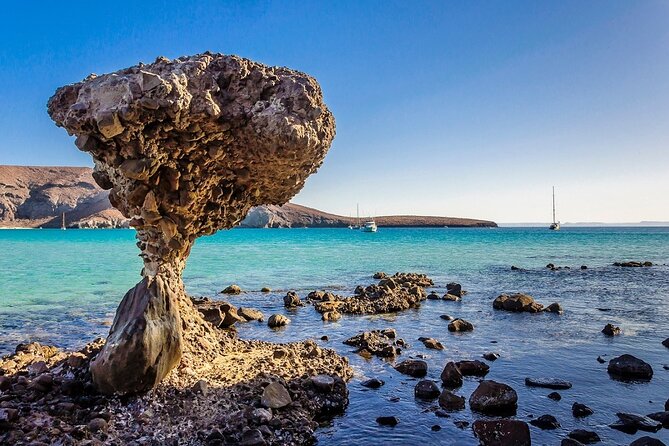 La Paz, Balandra and Todos Santos from CABO and San Jose - Playa Balandra: Viewpoint Climb, Shallow Swim, and Jellyfish Awareness