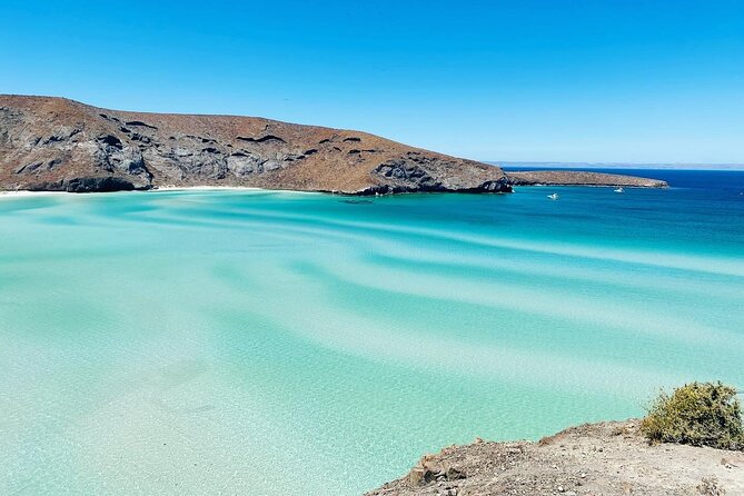 La Paz, Balandra and Todos Santos from CABO and San Jose - Price and What You Really Get for $119.48