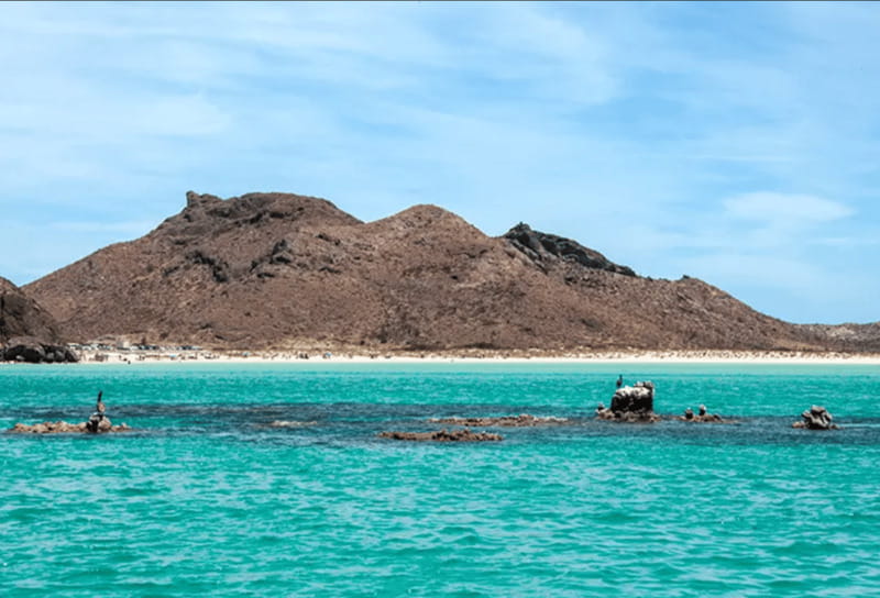 La Paz: Boat ride to Espiritu Santo island and sloop - Key highlights you should plan around