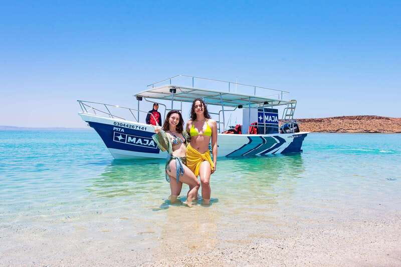 La Paz: Espiritu Santo Island Tour - Wildlife on the Move: Dolphins, Whales, and the Horizon Game