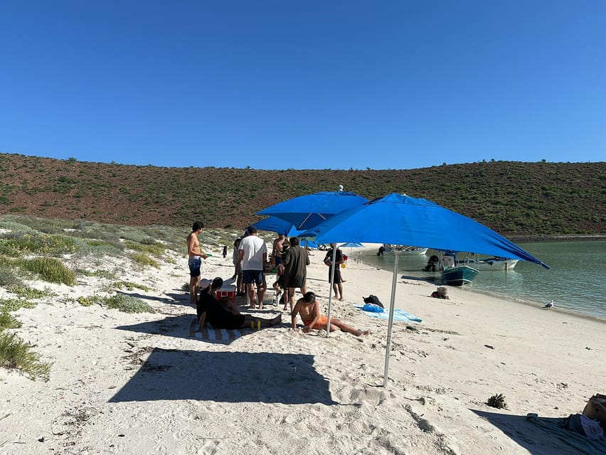 La Paz: Espiritu Santo Island Tour - Playa Balandra Finale: Photos, Shallow Water, and That Mushroom Rock