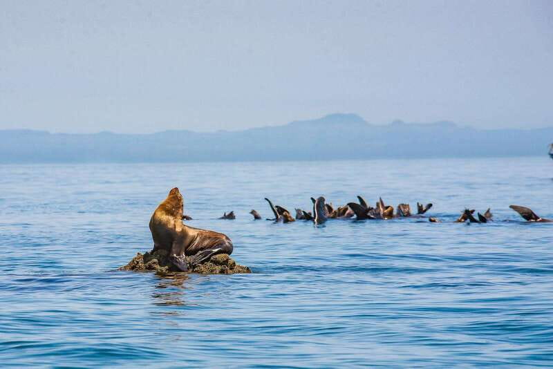 La Paz: Espiritu Santo Island Tour - From Downtown La Paz to the Water: Getting There Without Stress