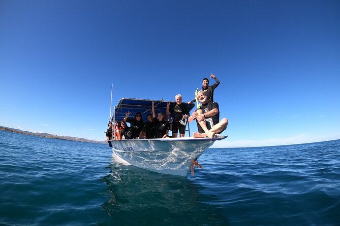 La Paz Whale Shark Snorkeling Tour and Lunch From Los Cabos - Who should book this: age, fitness, and weight limits
