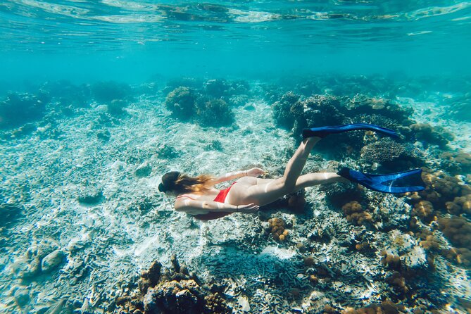 La Paz World Class Snorkeling in Balandras Hidden Beaches - Balandra’s bays: snorkeling and kayaking in a protected area