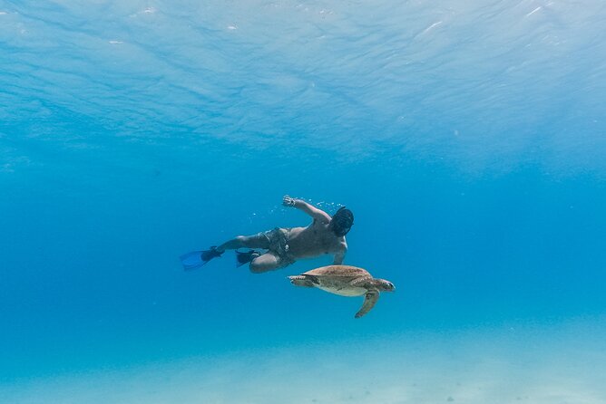 La Paz World Class Snorkeling in Balandras Hidden Beaches - The famous spots you might see from the boat