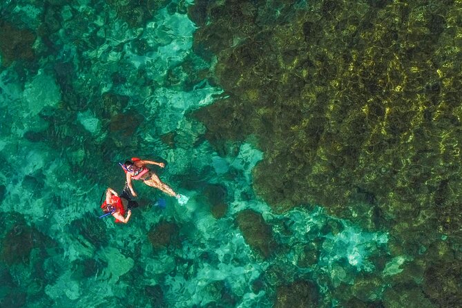 La Paz World Class Snorkeling in Balandras Hidden Beaches - Food and drinks: the included lunch is not an afterthought