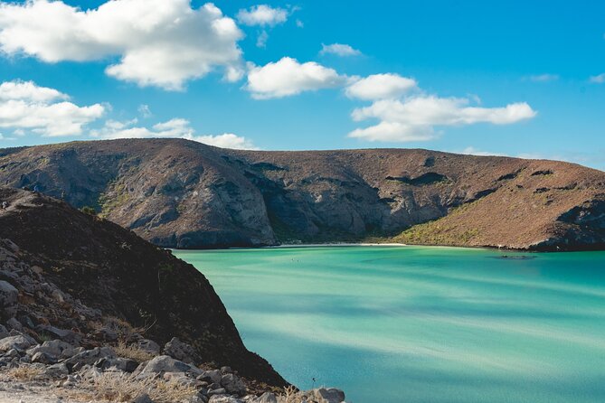 La Paz World Class Snorkeling in Balandras Hidden Beaches - Timing and energy: how the day feels from start to finish