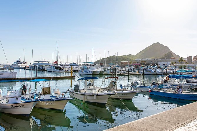 Land’s End Experience – Arch, Beaches & Marine Life - Price: Why $55 Can Be Good Value (and When It Might Feel Tight)