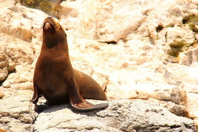 Land's End Sightseeing Boat Tour in Los Cabos - El Arco de Cabo San Lucas: The Main Photo Stop