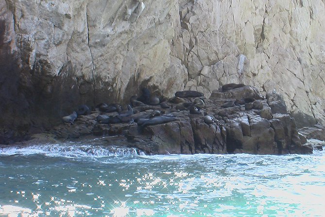 Land's End Tour Basic - Land’s End highlights: Arch, Lover’s Beach, Pelican Rock, San Andres Cave