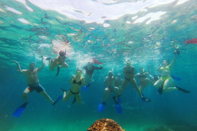 Lands End Luxury Sail and Snorkel Cruise in Cabo San Lucas - Key highlights you should care about