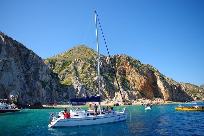 Lands End Luxury Sail and Snorkel Cruise in Cabo San Lucas - Seeing whales and sea lions, and why the timing helps