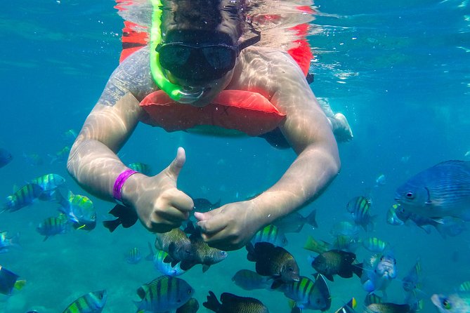 Las Caletas Beach & Adventure Park with buffet lunch and open bar - Included food and open bar: buffet lunch that actually sustains a fun day