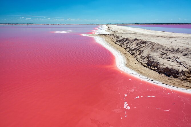 Las Coloradas Pink Lake & Rio Lagartos Guided Tour - Key highlights worth planning for