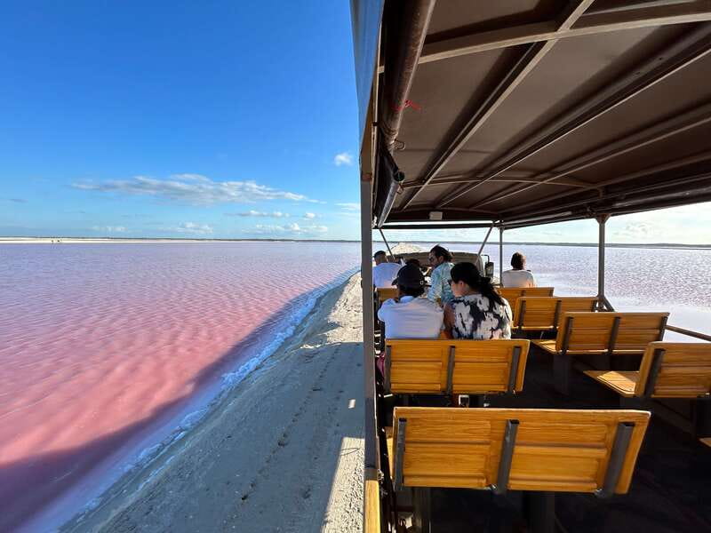 Las Coloradas: Pink Lakes Safari Tour - Key Things That Make This Pink Lakes Safari Worth Your Time