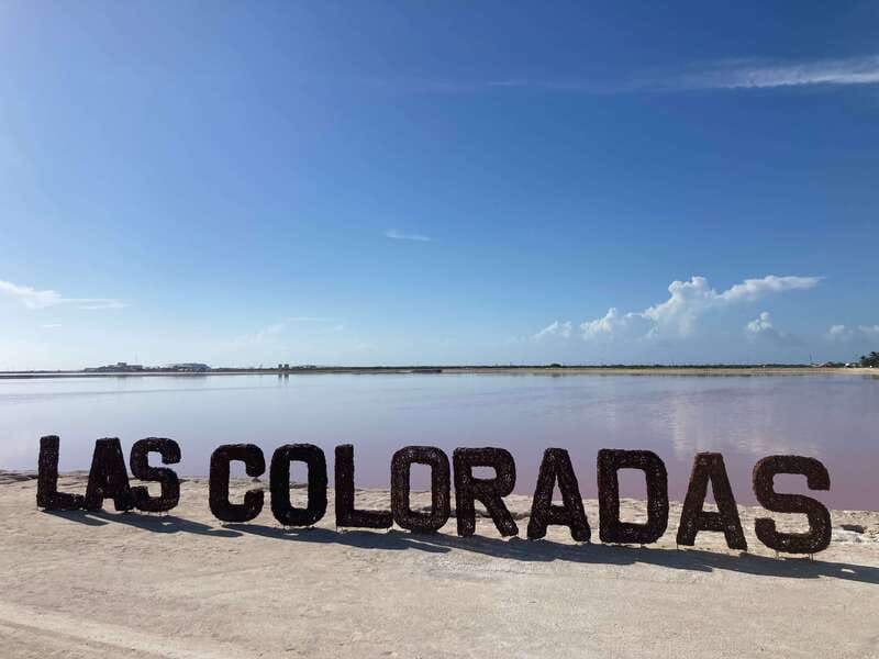 Las Coloradas: Pink Lakes Safari Tour - The Price at About $40: What You Get for It