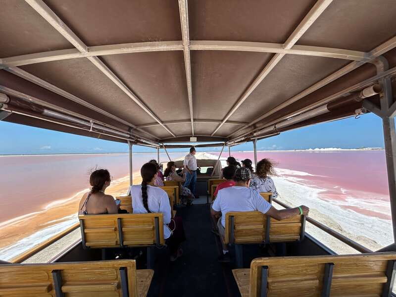 Las Coloradas: Pink Lakes Safari Tour - Las Coloradas: Pink Lakes Plus Salt Facts, Not Just Photos