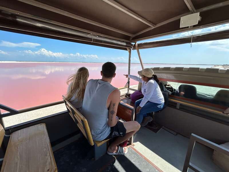 Las Coloradas: Pink Lakes Safari Tour - Meeting Point at the Visitor Center, Then Straight Into the Action