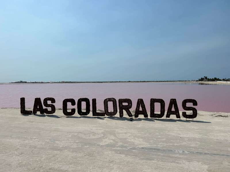 Las Coloradas: Pink Lakes Safari Tour - Birds, Biosphere, and the Flamingo Factor