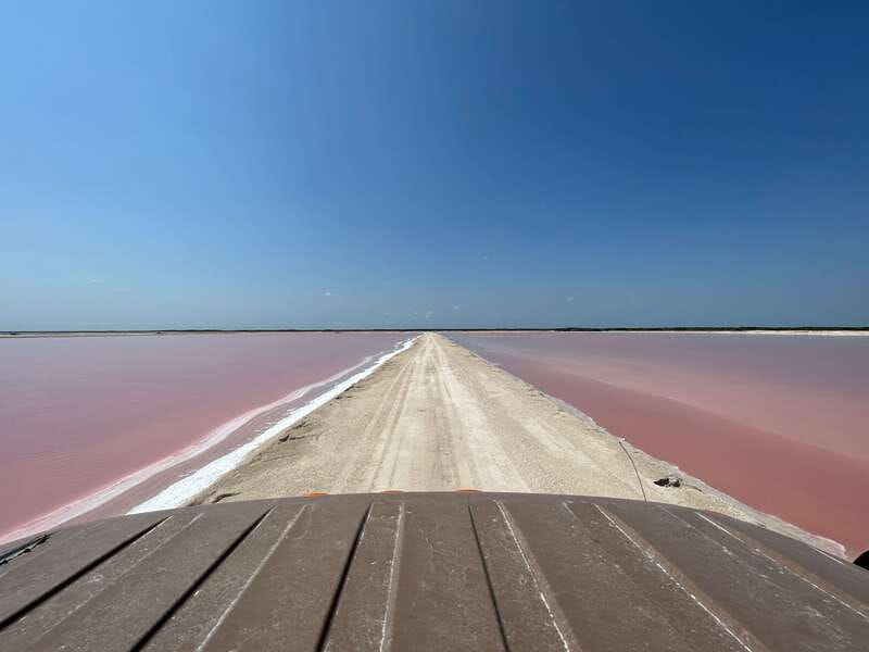 Las Coloradas: Pink Lakes Safari Tour - Photo Tips That Make a Difference in the Pink Lakes
