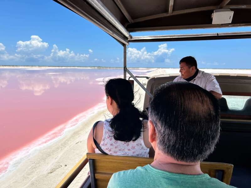 Las Coloradas: Pink Lakes Safari Tour - The 2-Hour Timing: Why Short Works Here