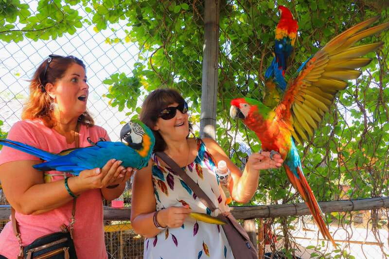 Los Cabos: Animal Encounter & Aqua Park Adventure - Wild Canyon’s Kingdom: a rescue sanctuary where you can actually interact