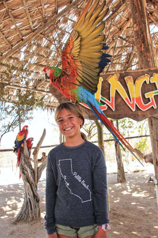 Los Cabos: Animal Encounter & Aqua Park Adventure - Feeding, petting, and camel encounters in the interactive stations