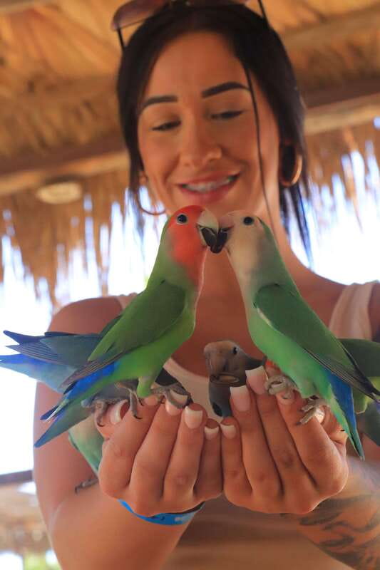 Los Cabos: Animal Encounter & Aqua Park Adventure - The longest hanging bridge moment and why comfortable shoes matter