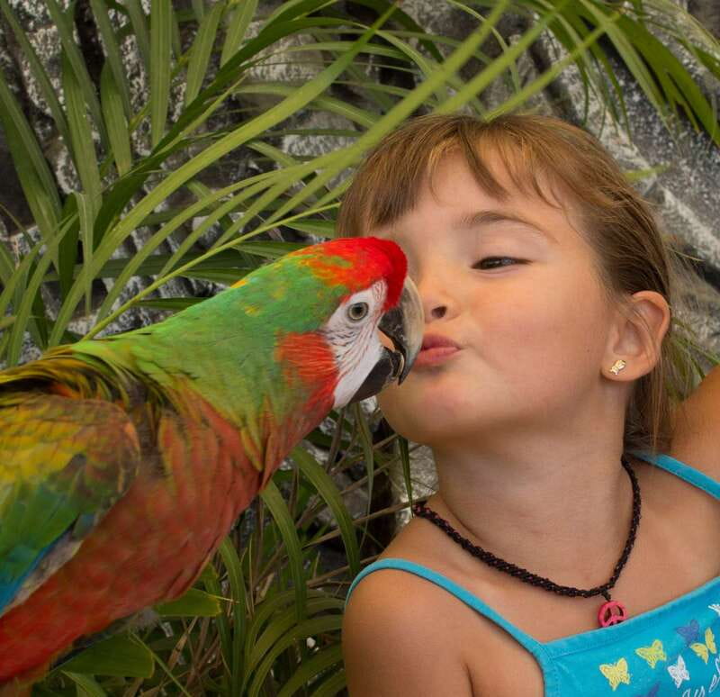 Los Cabos: Animal Encounter & Aqua Park Adventure - The swim and free-time portion: how to think about the aqua adventure