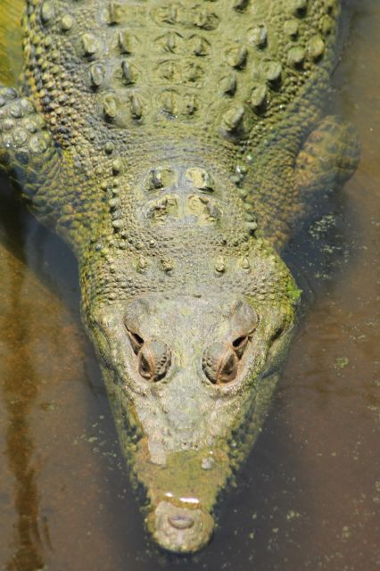 Los Cabos: Animal Encounter & Aqua Park Adventure - Price and value check: what $115 covers, plus the real extras