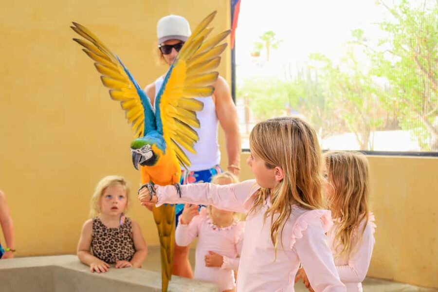 Los Cabos: Animal Encounter & Aqua Park Adventure - What to bring, what to skip, and how to avoid day-of headaches