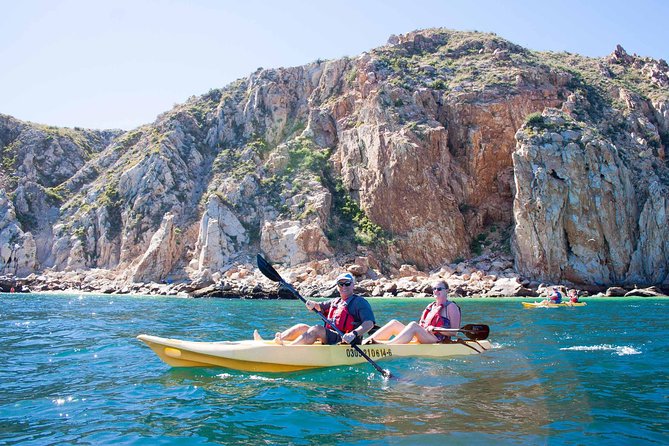 Los Cabos Arch and Playa del Amor Tour by Glass Bottom Kayak - Pelican Rock Snorkeling: The Fish Spot You Can Actually See