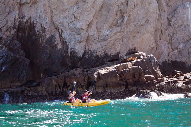 Los Cabos Arch and Playa del Amor Tour by Glass Bottom Kayak - El Arco at Kayak Height: Sea Lions, Birds, and Photo Moments