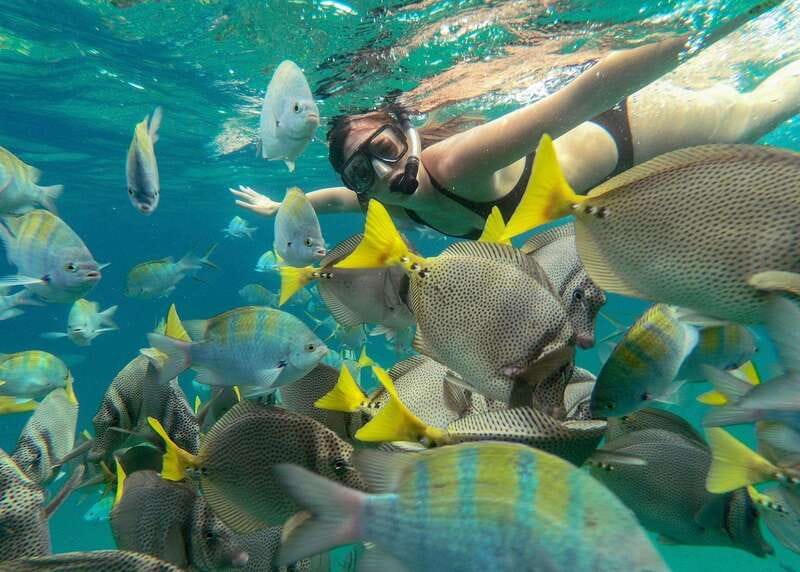 Los Cabos Arch & Lover’s Beach Tour + Snorkeling Tour - Pelican Rock snorkeling: what it feels like in the water