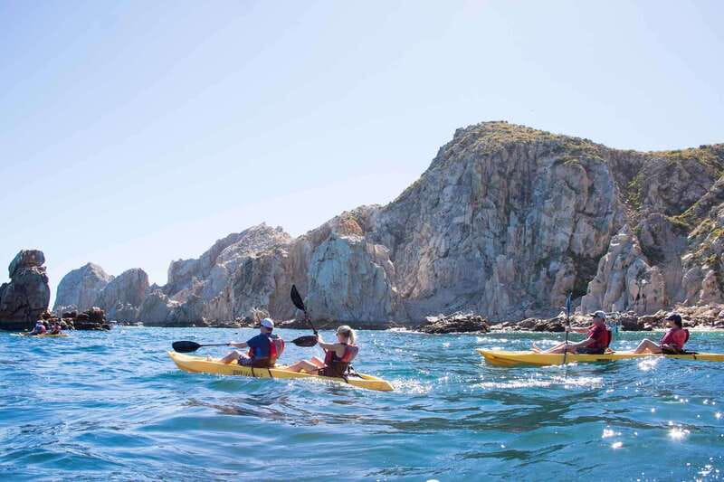 Los Cabos Arch & Playa del Amor Tour by Glass Bottom Kayak - Sea Lion Colony Stop: The Best Kind of Surprise