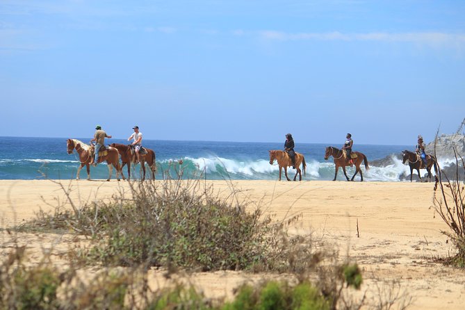 Los Cabos ATV and Pacific Horseback Riding Combo Tour - Horse Riding at a Local Ranch, Not a Theme Park Ride